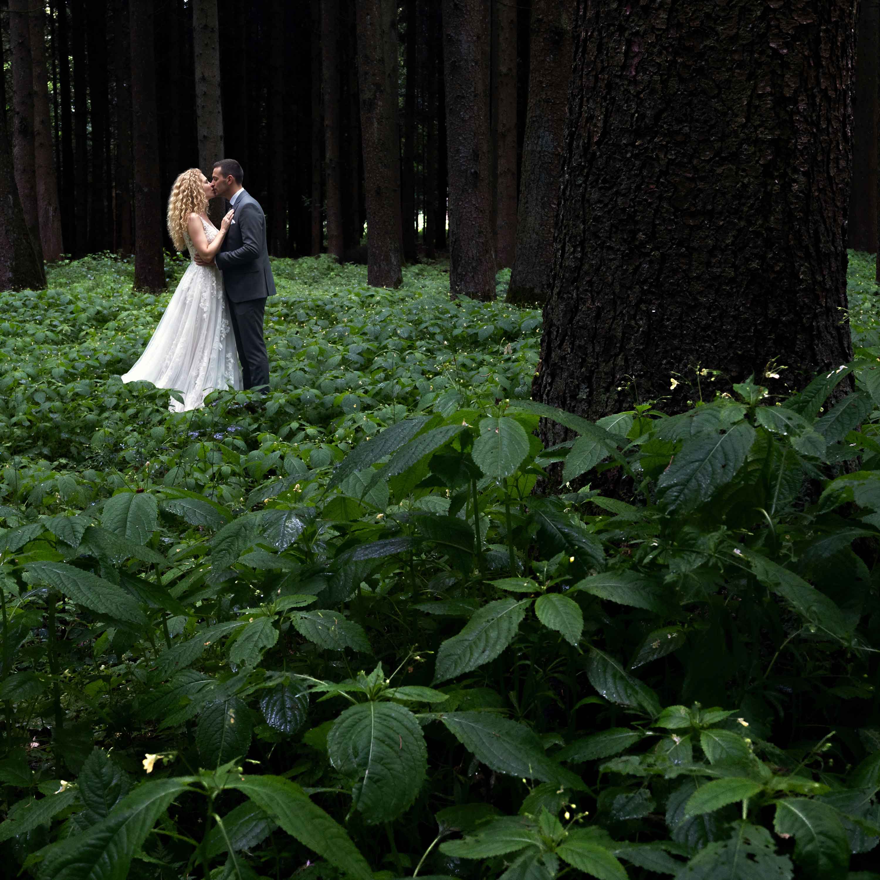 Hochzeiten