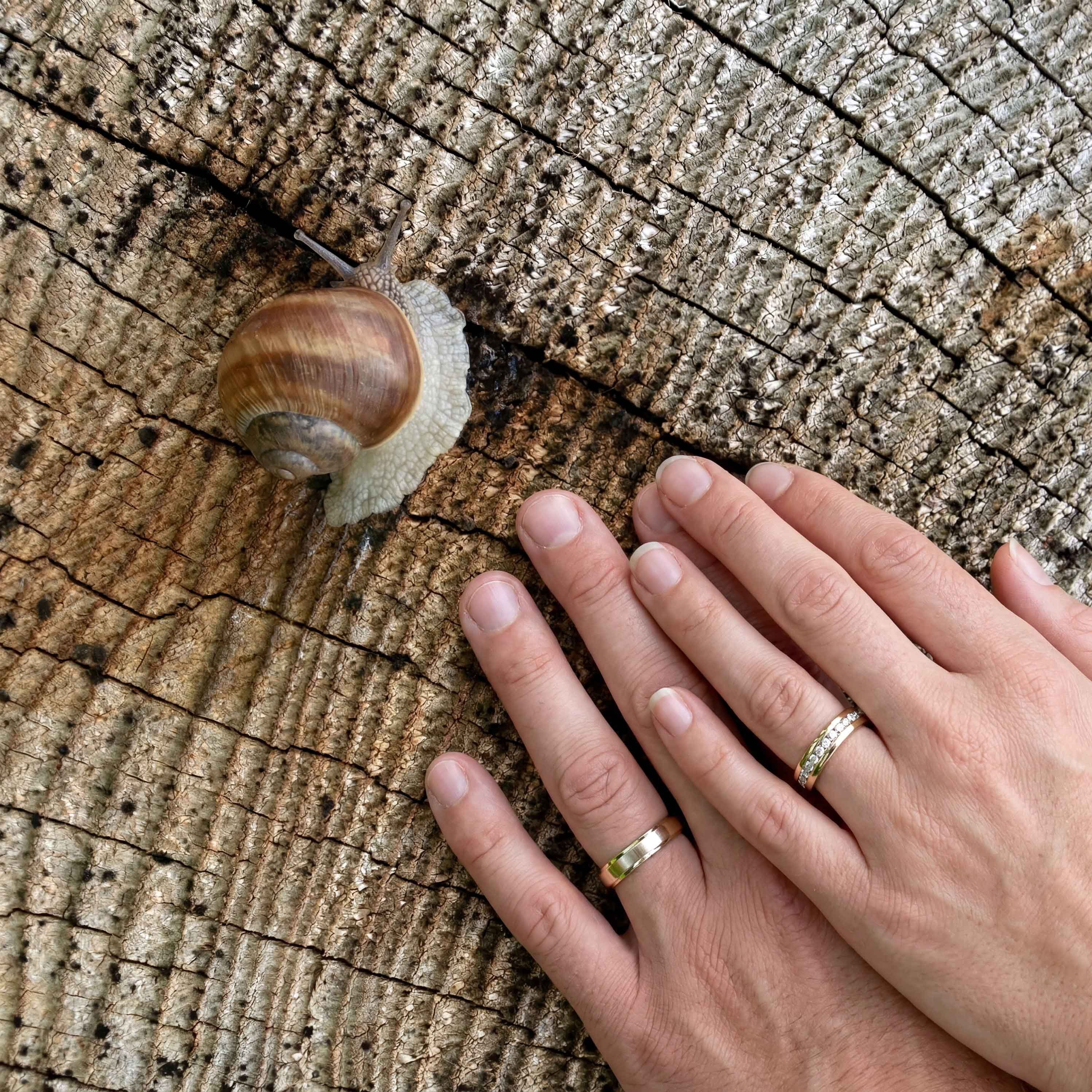 Hochzeiten