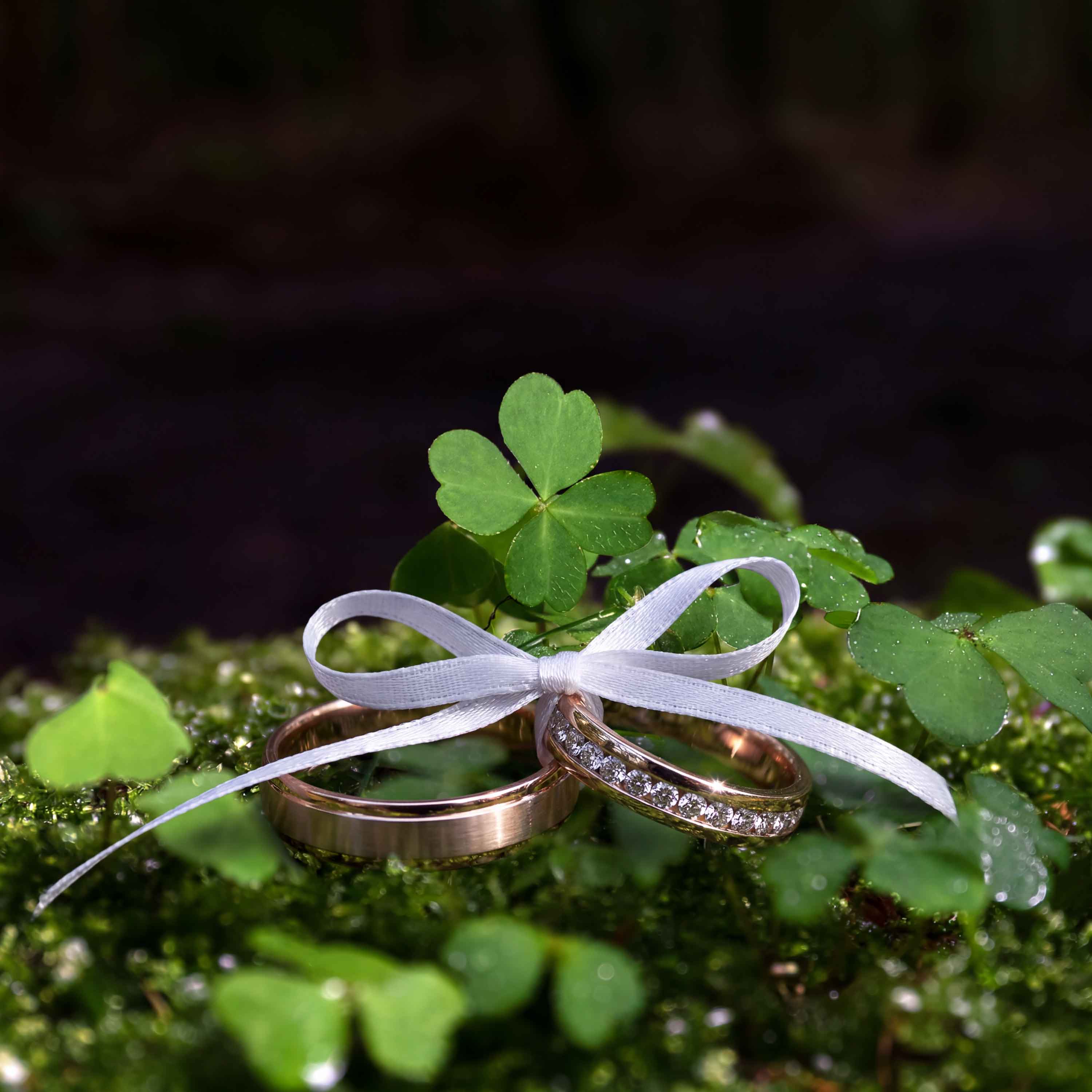 Hochzeiten