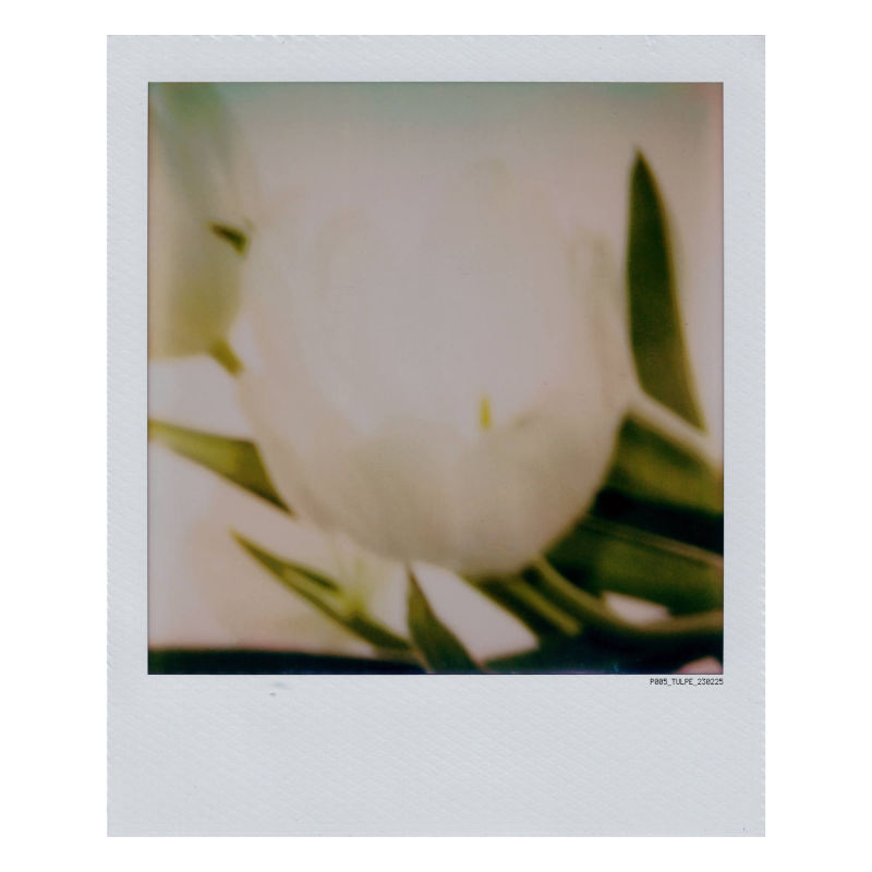 polaroid
