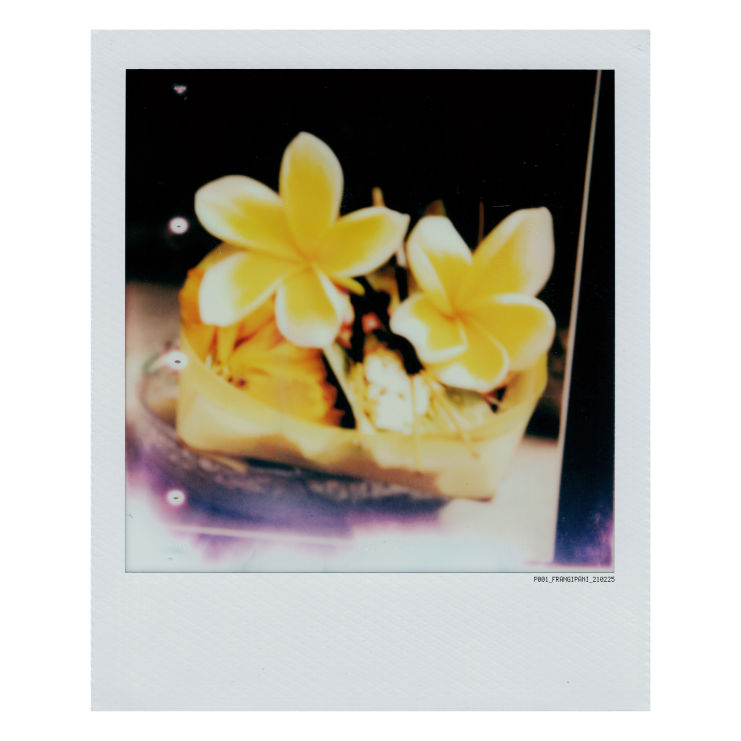 polaroid