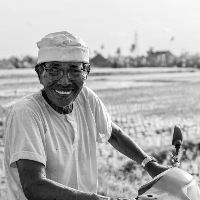 in the rice fields