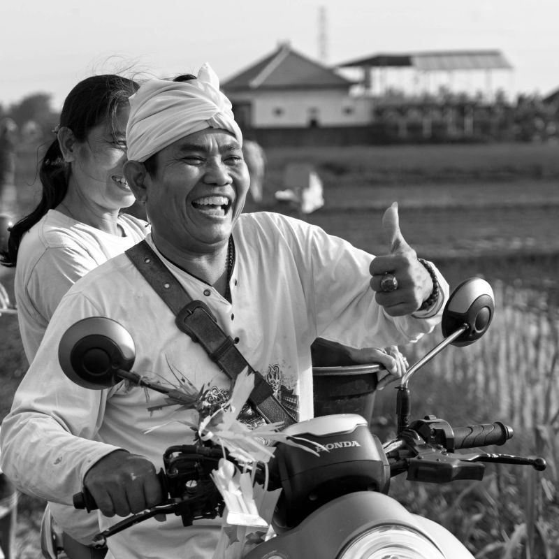 in the rice fields