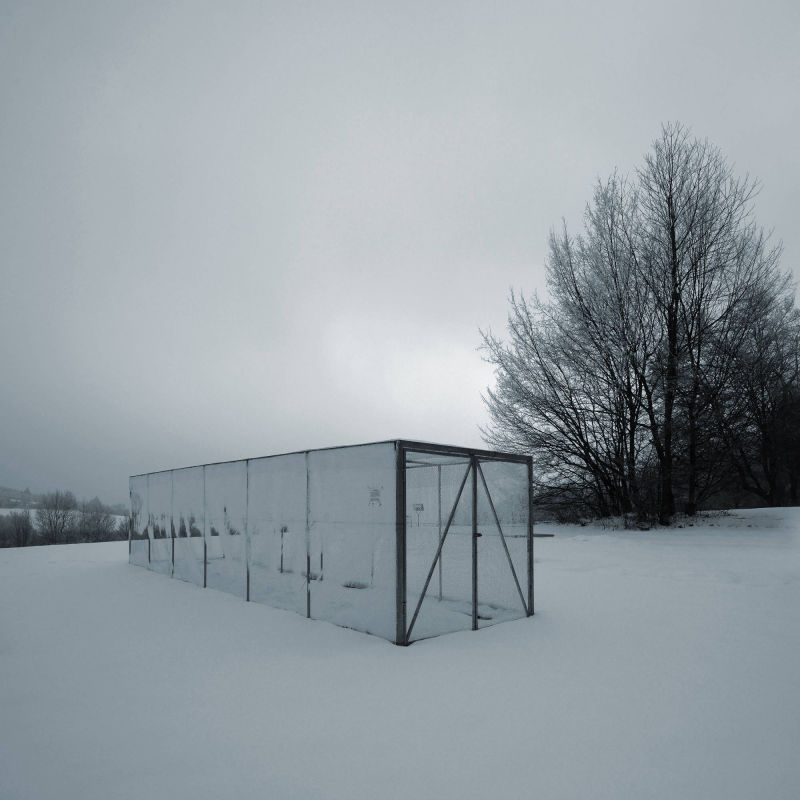 winterlandscape