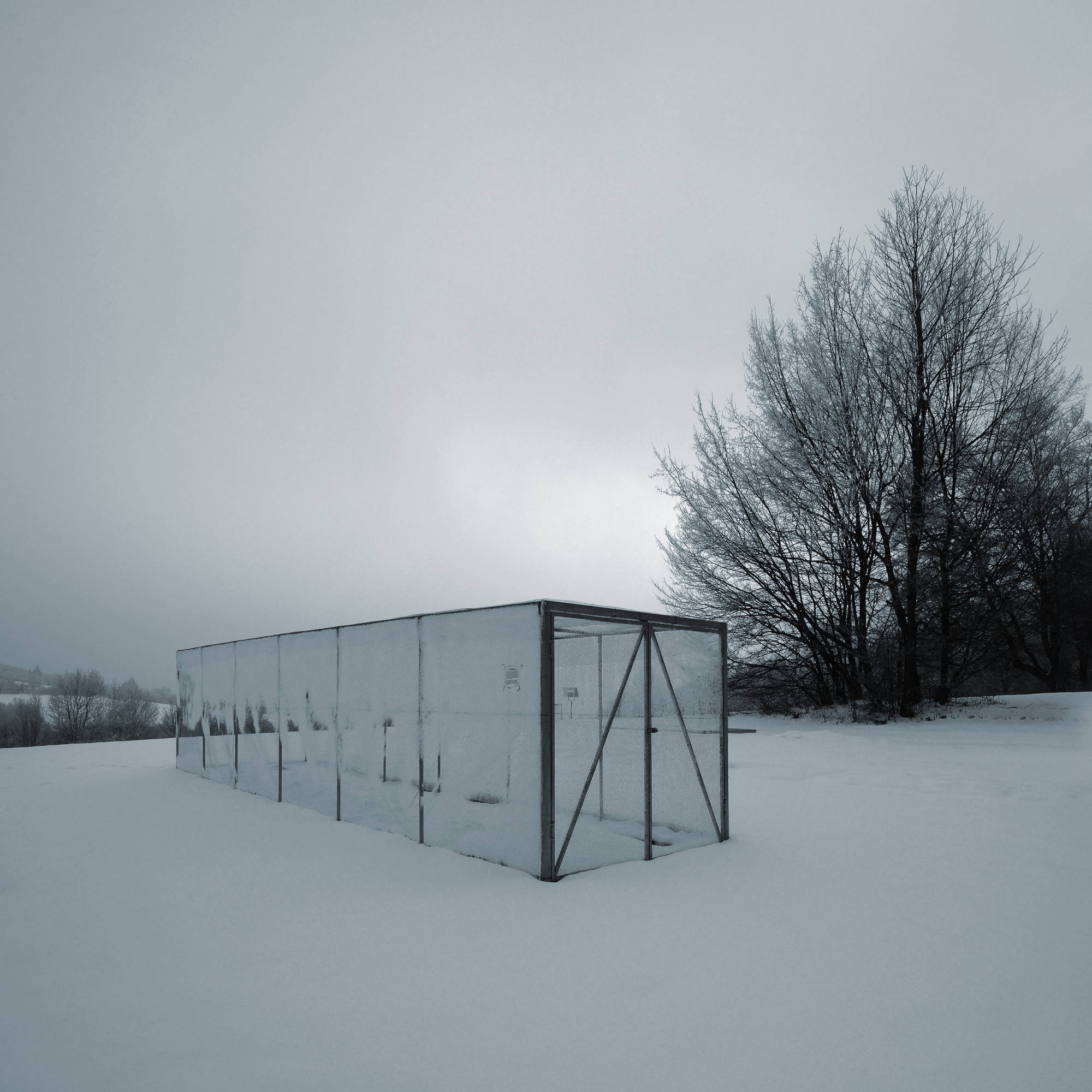 winterlandscape